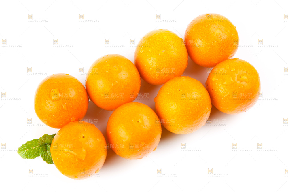 白底上的融安小金桔