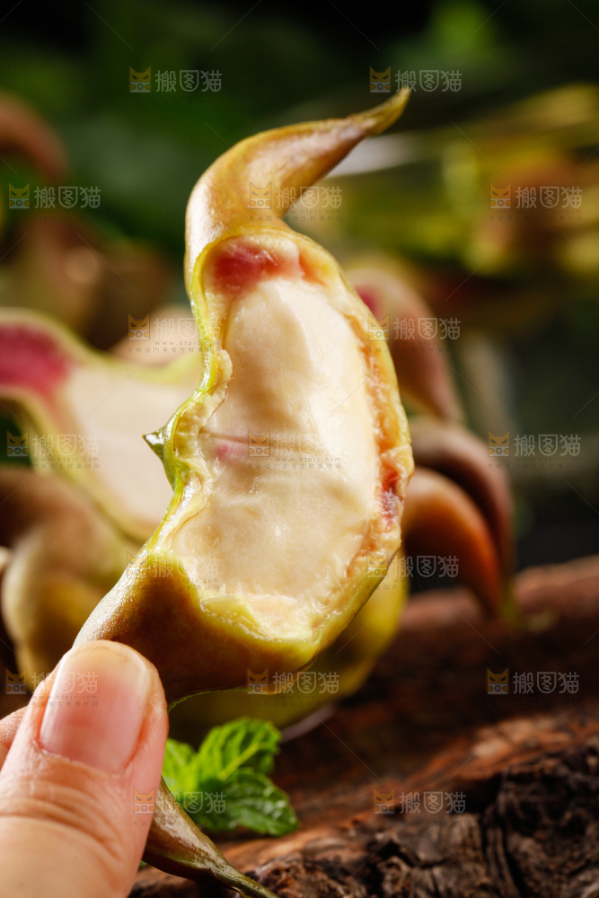 手里拿着新鲜菱角