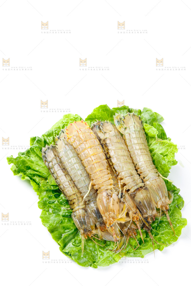 白底上的濑尿虾