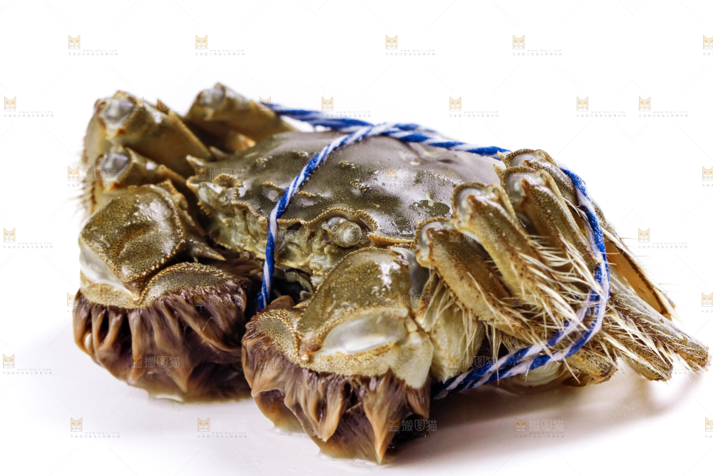 白底上放着大闸蟹