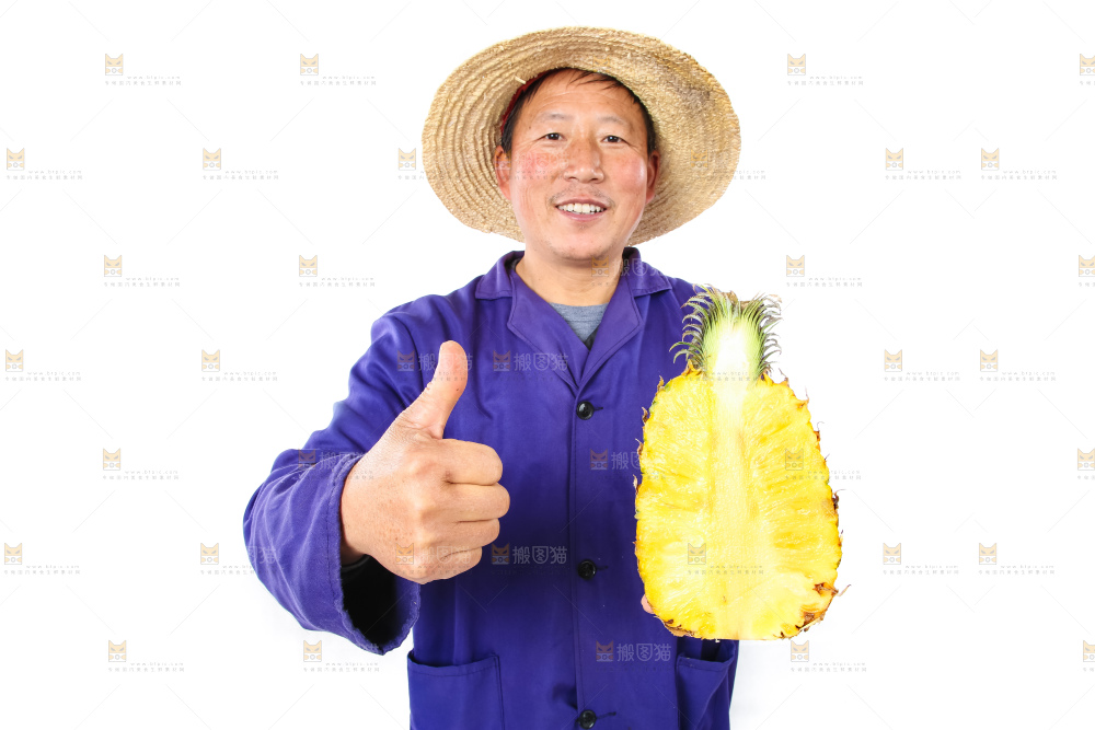 农民手里拿着香水菠萝