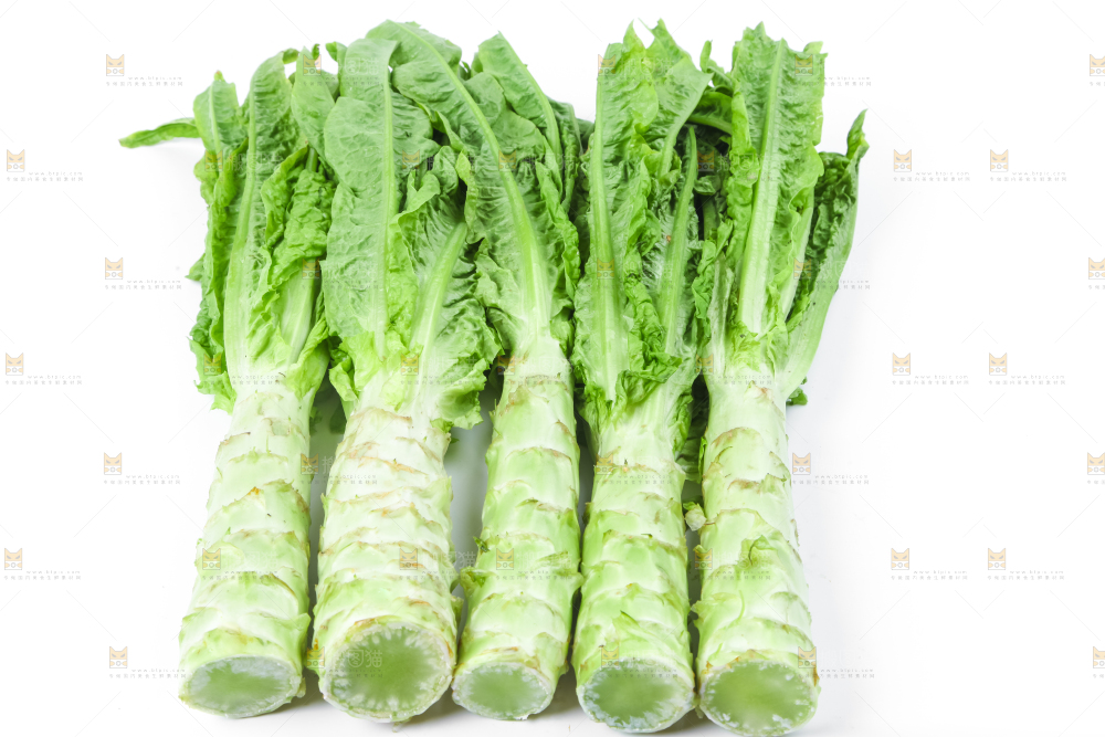 白底上的莴笋