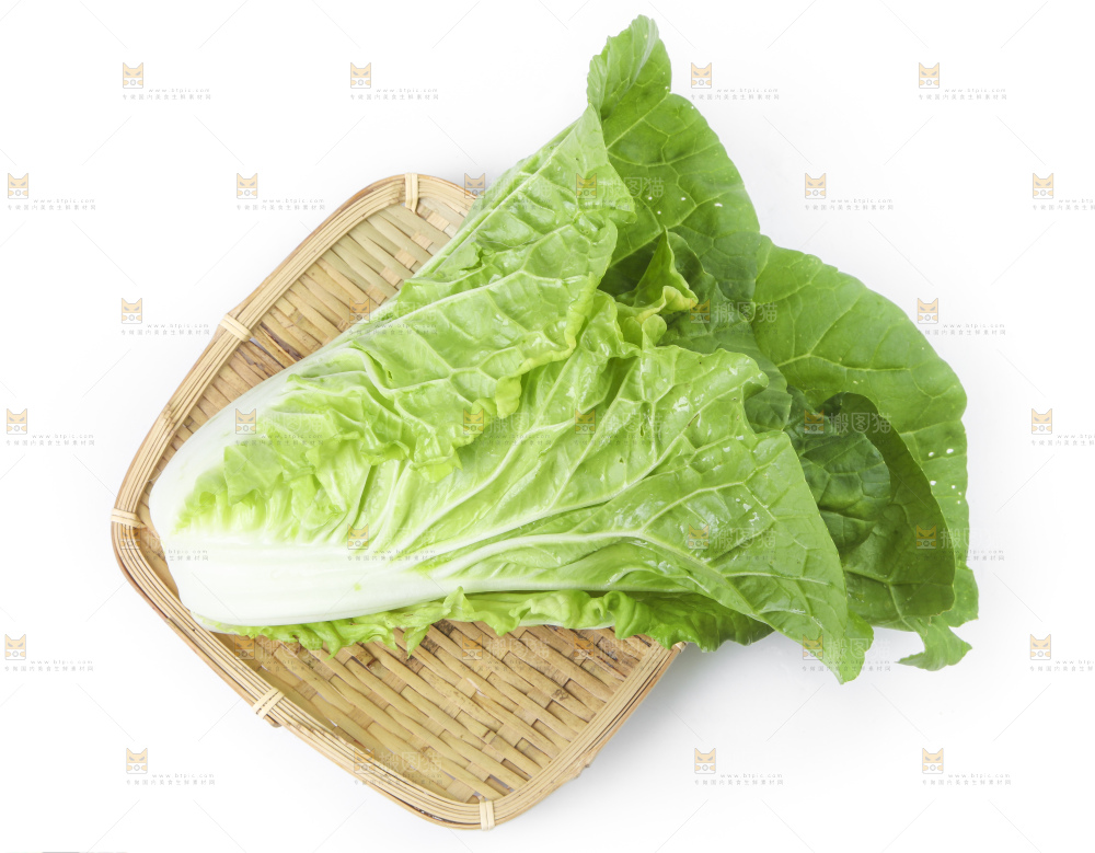 篮子里装着白菜
