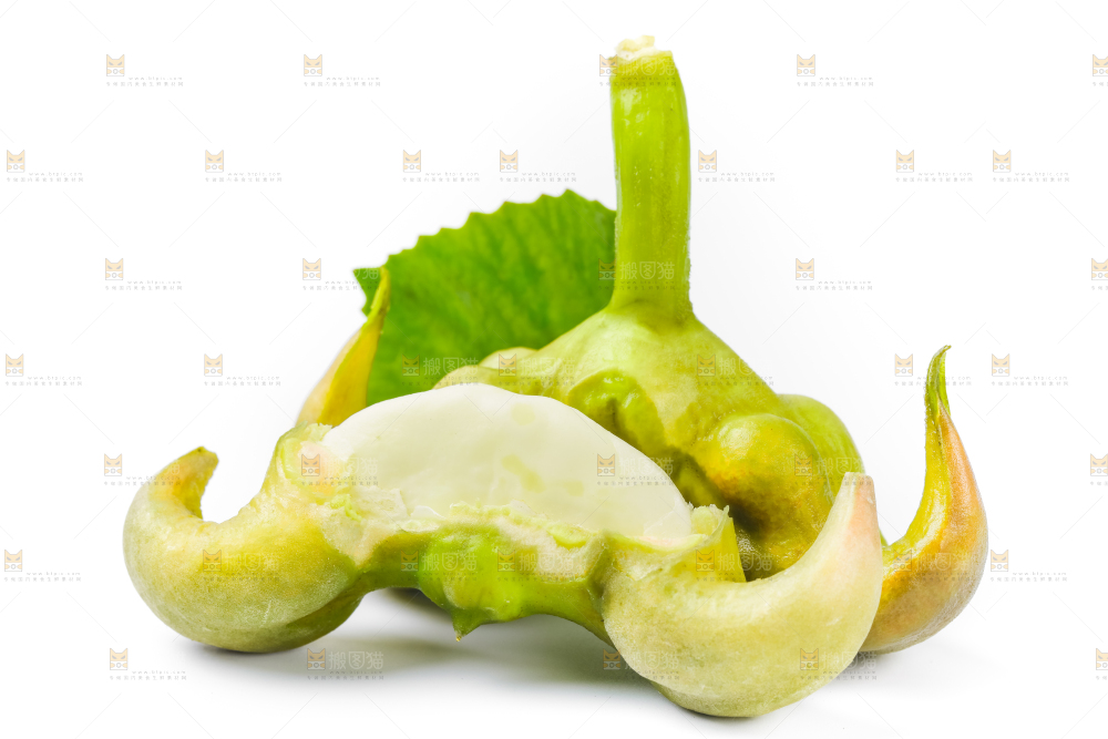 浅底上的新鲜菱角