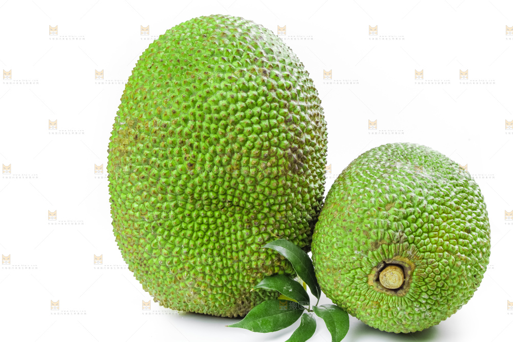 白底上放着海南红肉菠萝蜜