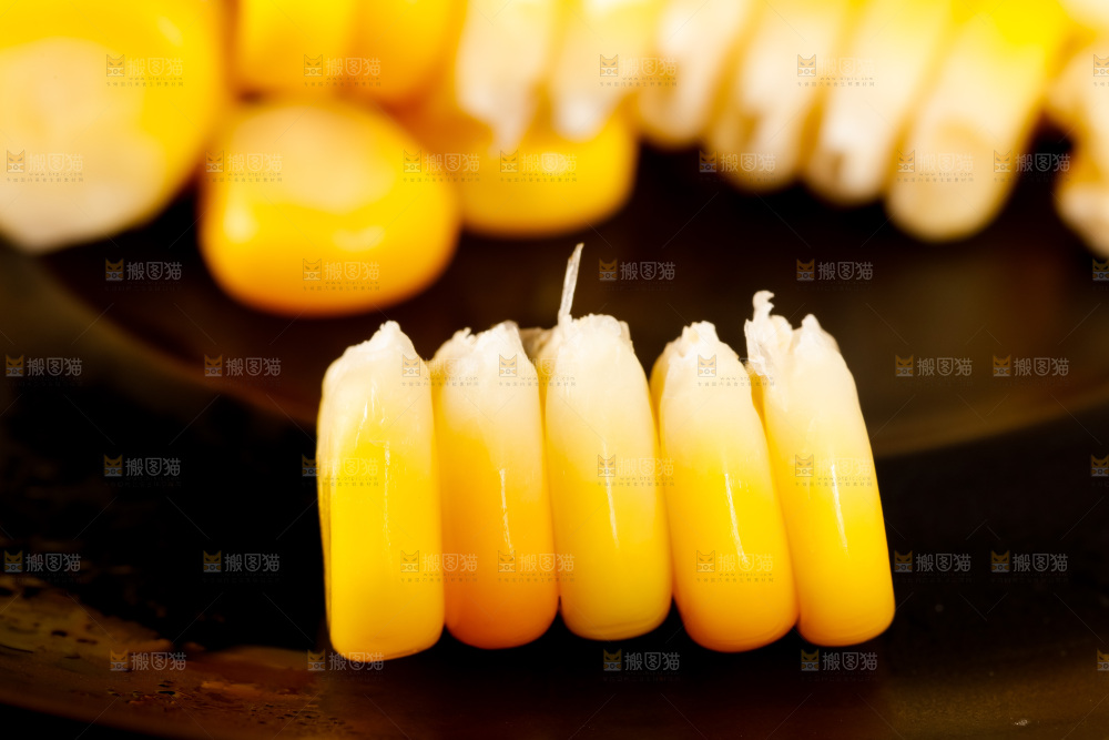 深底上的东北玉米