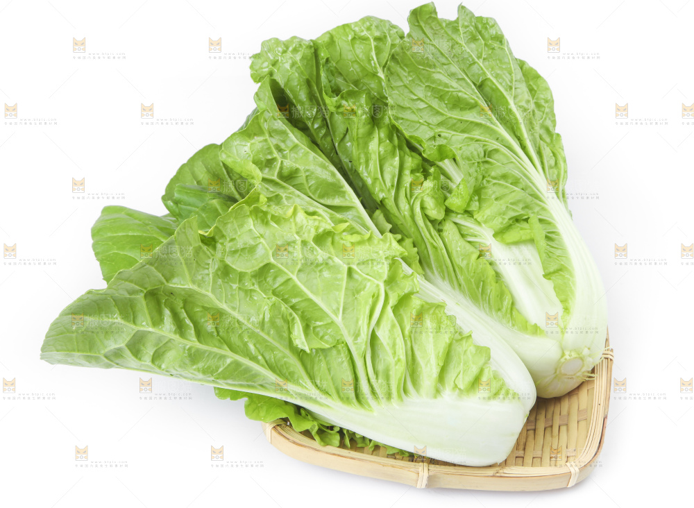 篮子里装着白菜