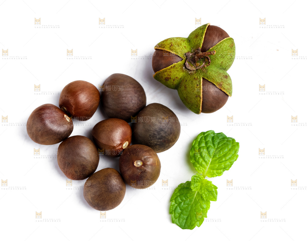 白底上摆放着茶树果