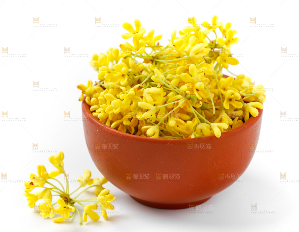 碗里的金桂花