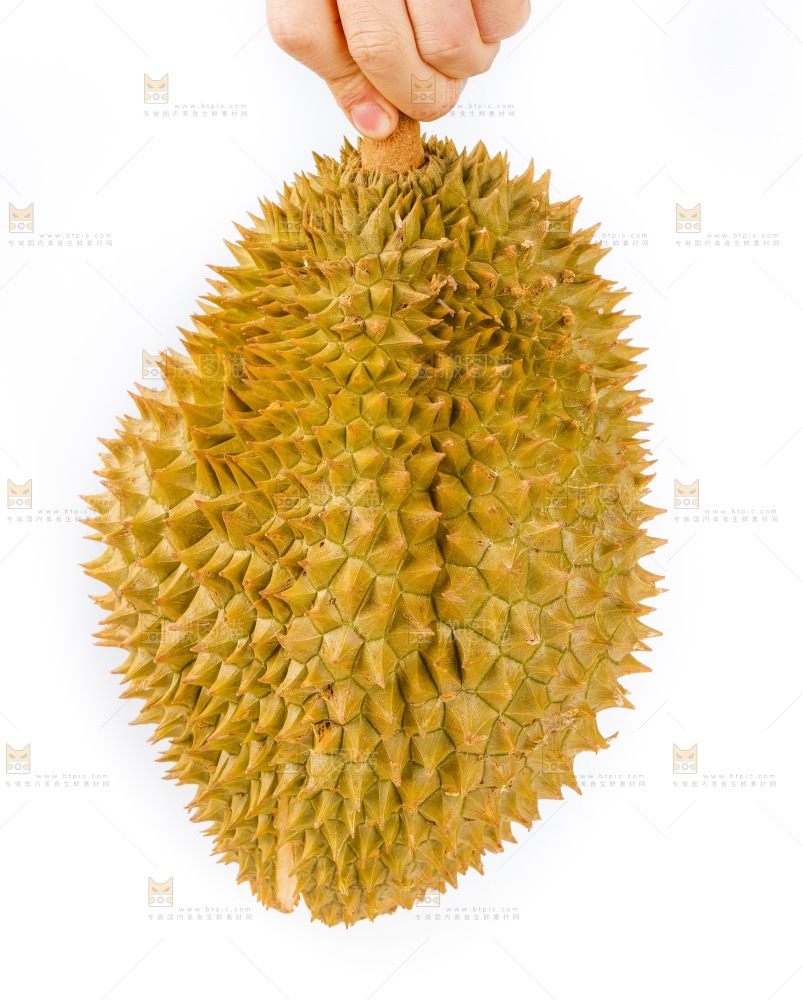 手里拿着泰国金枕榴莲