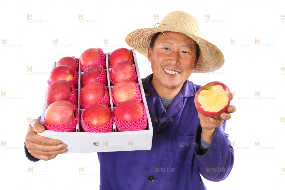 红富士苹果-人物