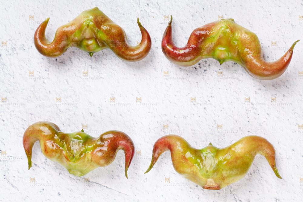 白底上摆放着新鲜菱角