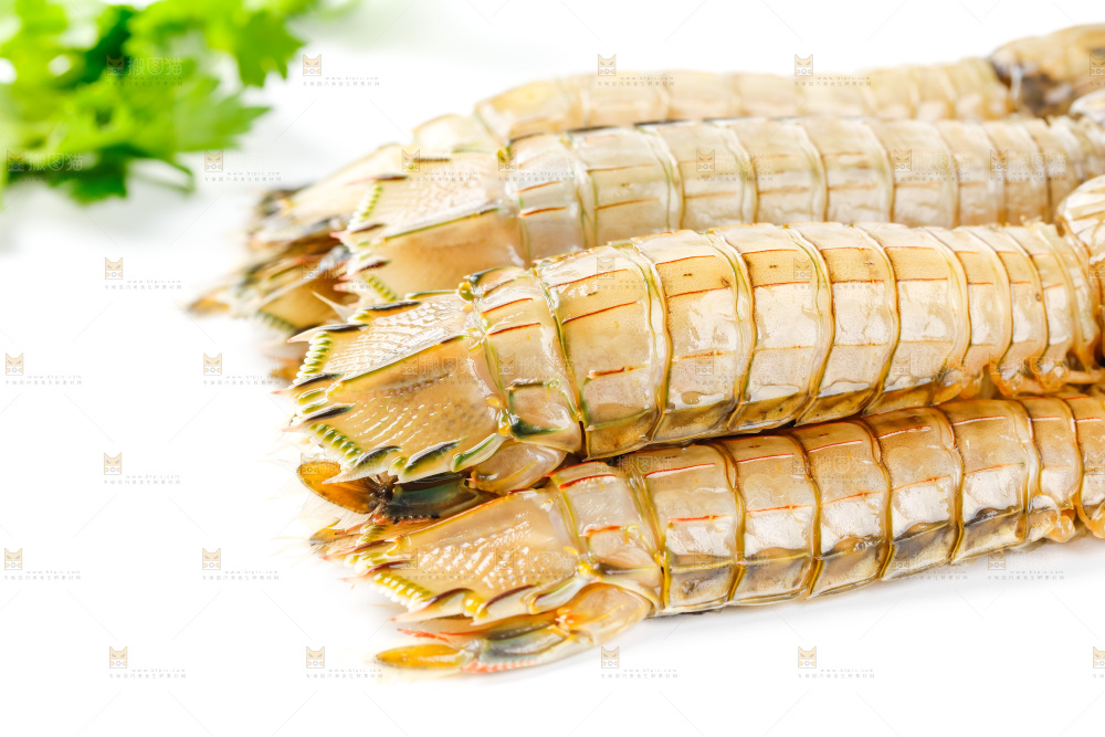 白底上的皮皮虾