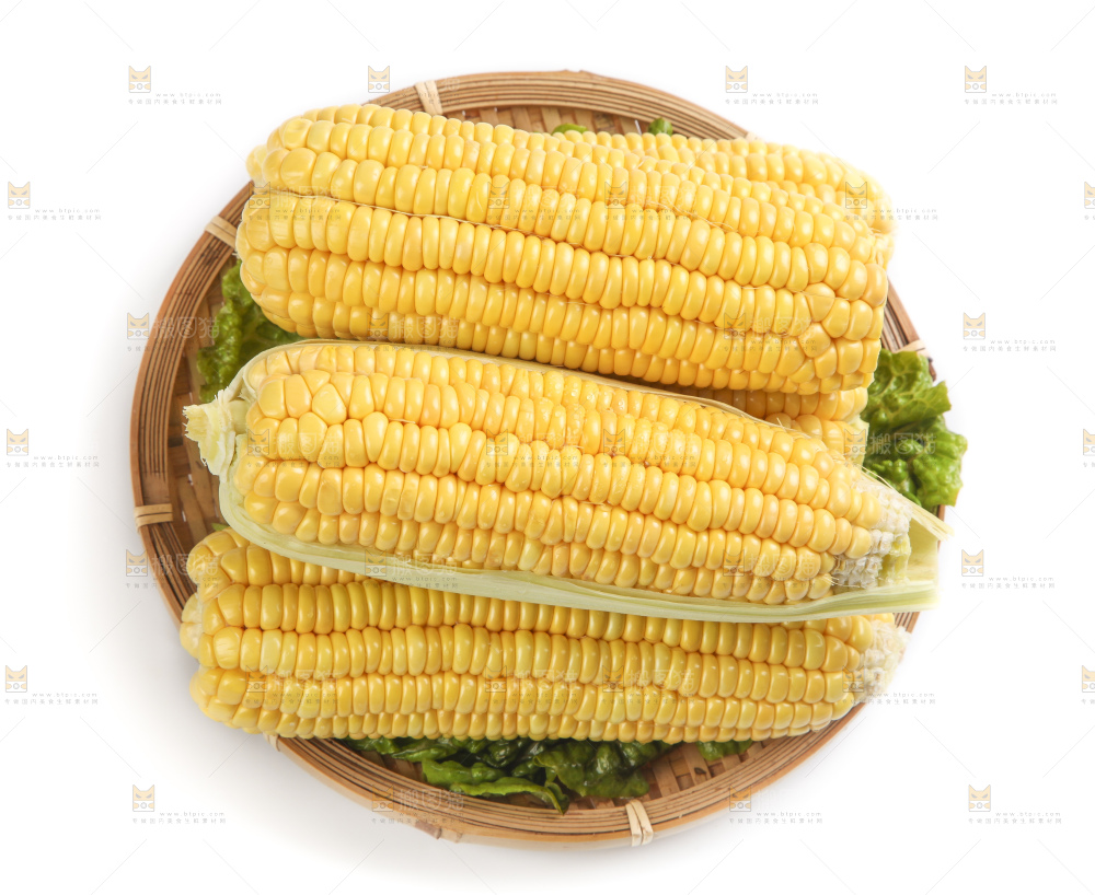 白底上的新鲜玉米