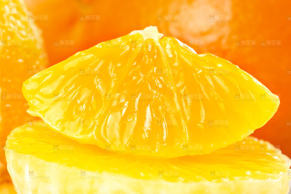 白底上的新鲜橙子