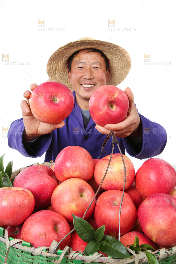 红富士苹果-人物