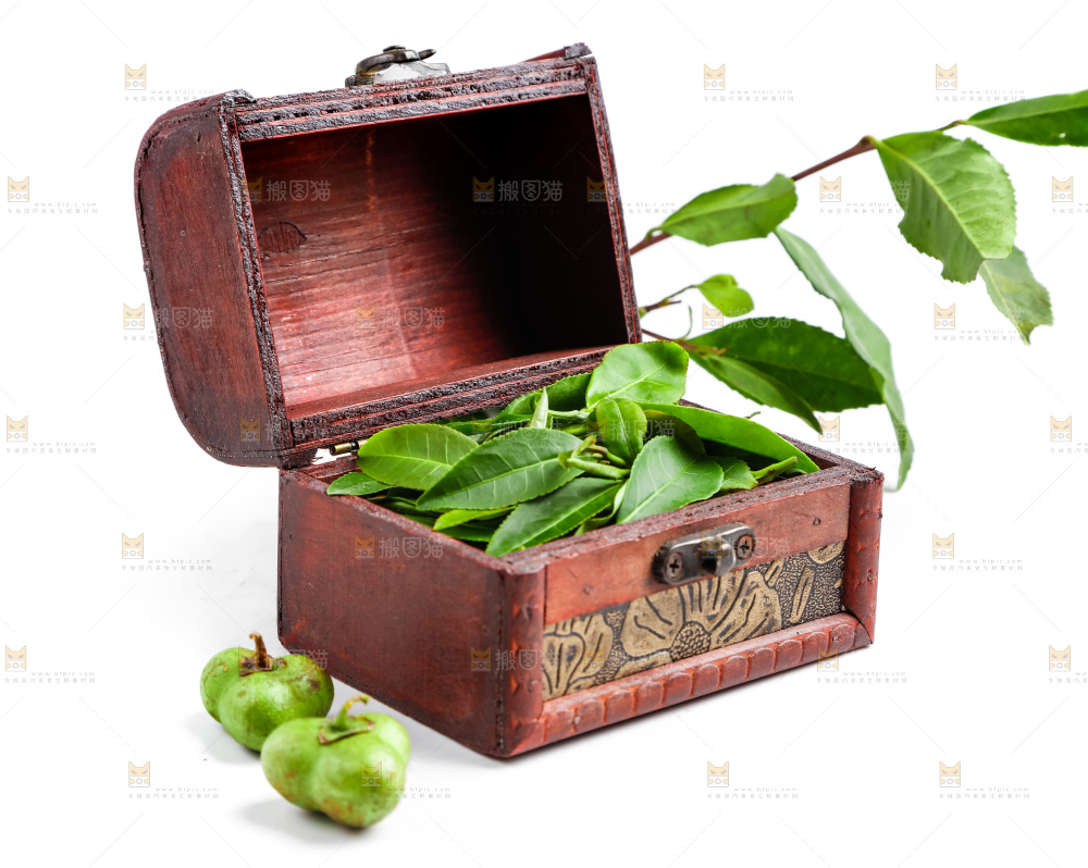 白底上放着绿茶叶