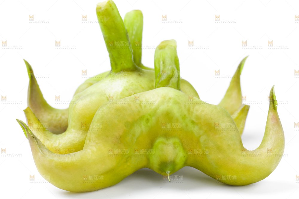 浅底上的新鲜菱角