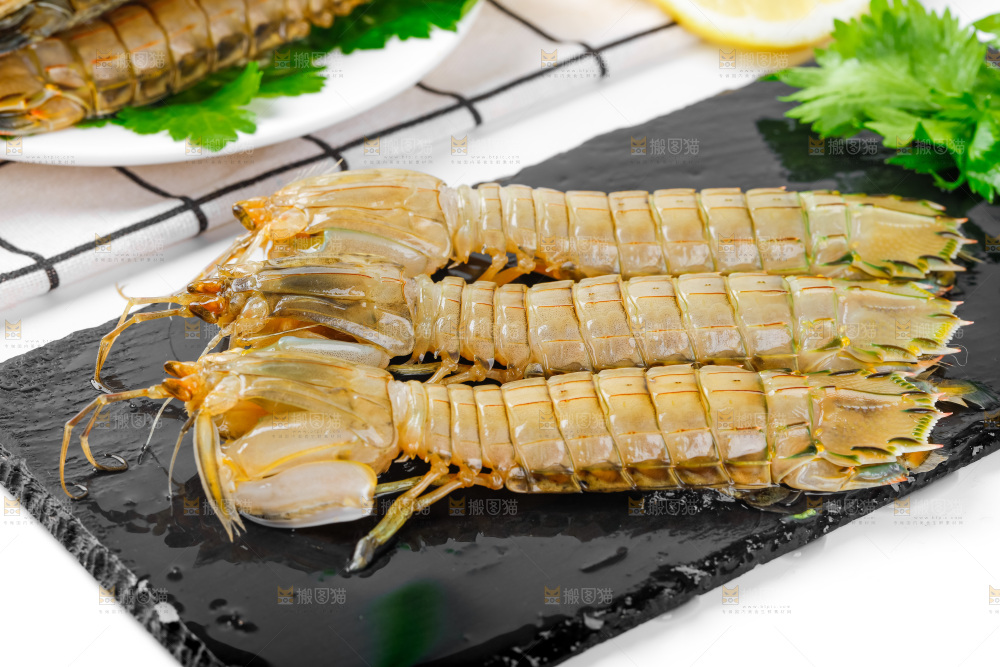 黑石板上的濑尿虾
