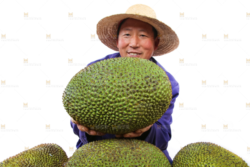 农民手里拿着菠萝蜜