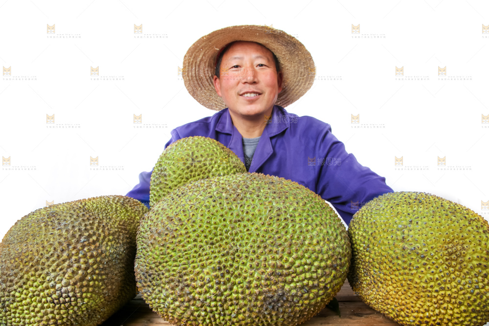 农民手里拿着菠萝蜜