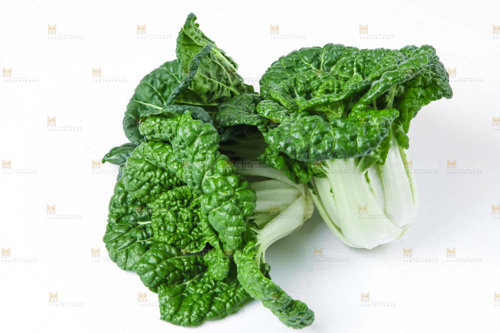 白底上放着奶油小白菜