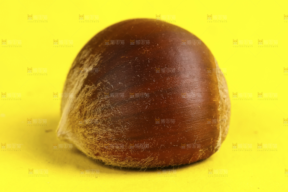 板栗
