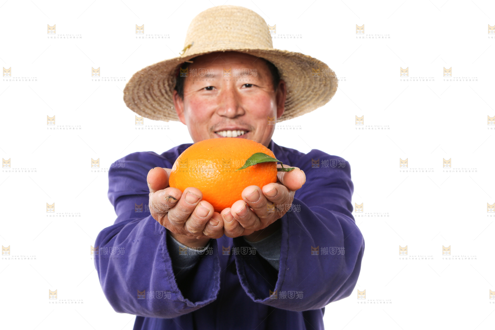 手里拿着赣南脐橙