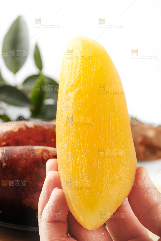 手里拿着新鲜雪莲