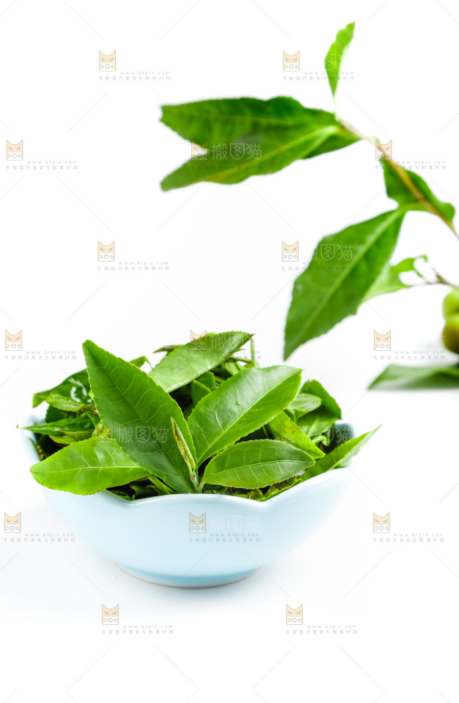 白底上摆放着茶叶子
