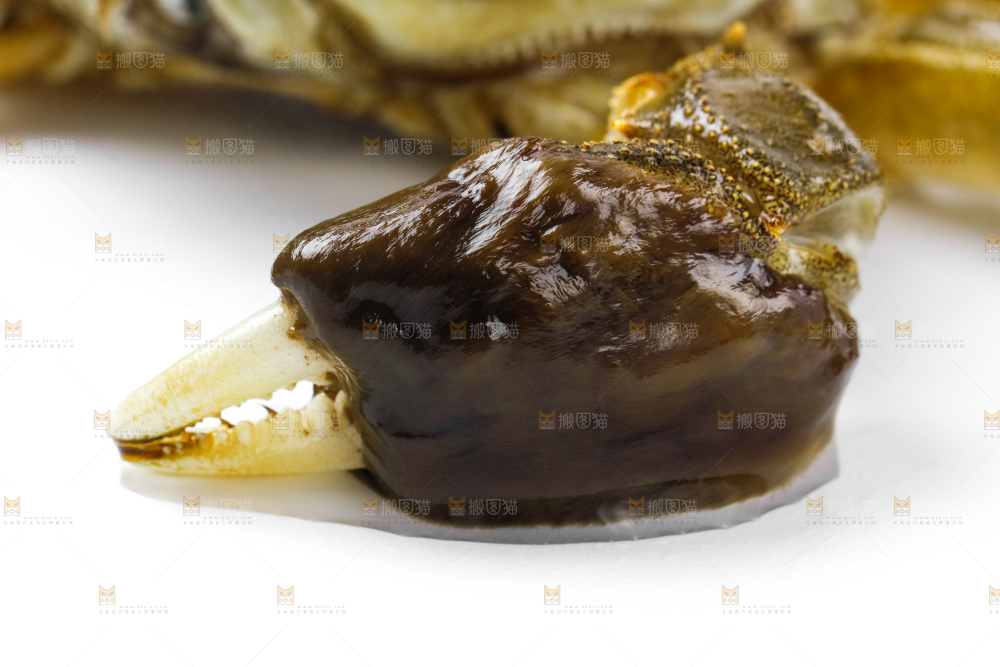 白底上放着大闸蟹