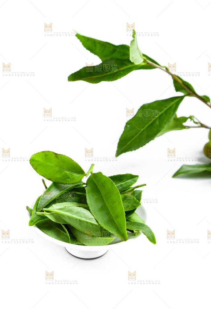 白底上摆放着茶叶子