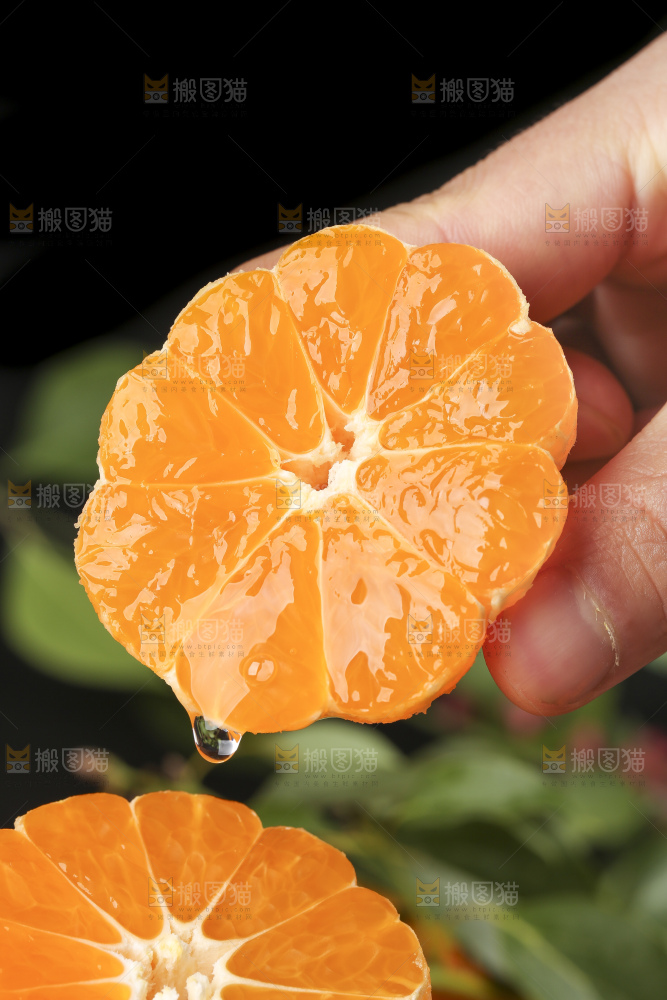 手里拿着新鲜椪柑