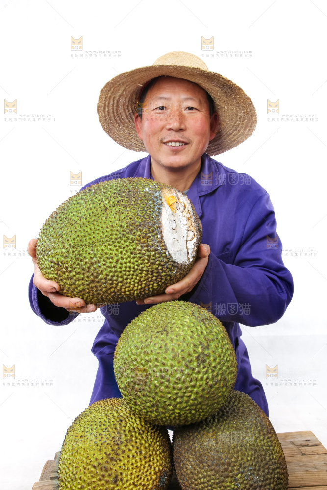 农民手里拿着菠萝蜜