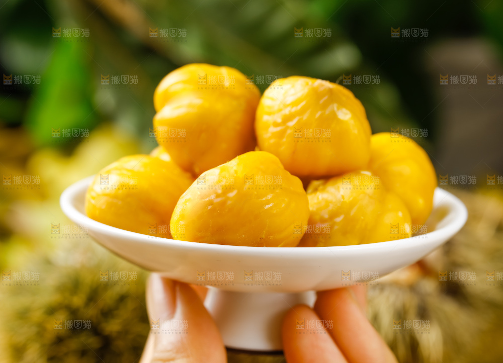 板栗