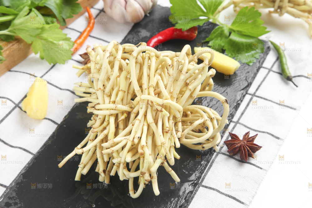 石板上的鱼腥草