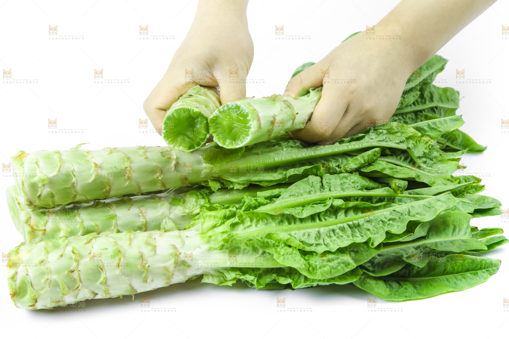 白底上的莴笋