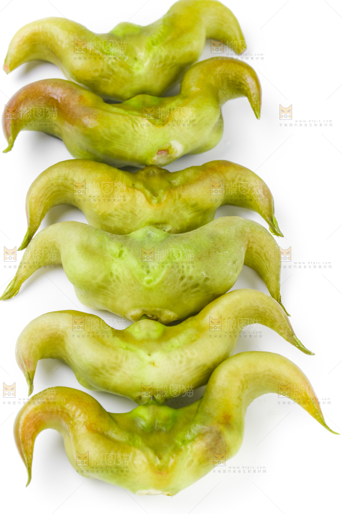 浅底上的新鲜菱角