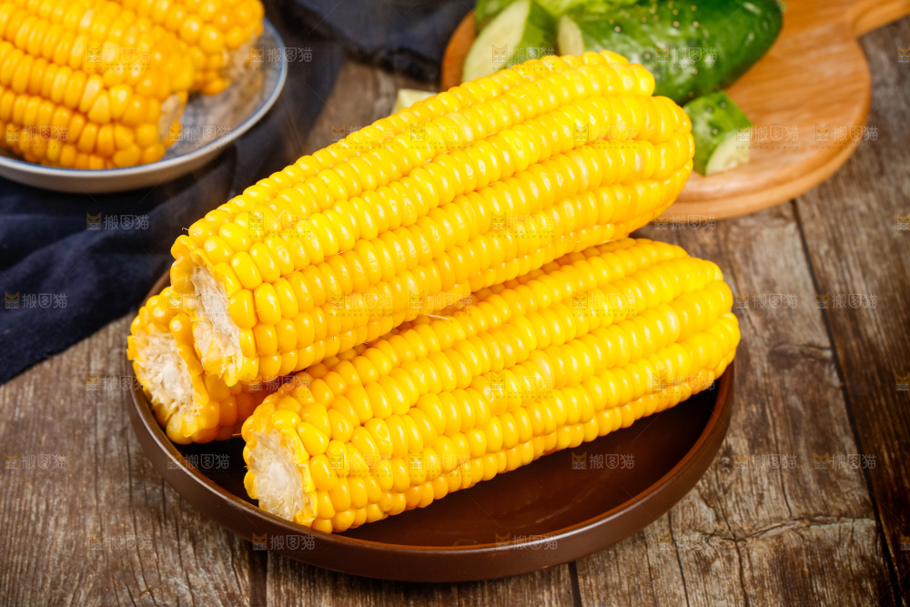 深底上的东北玉米