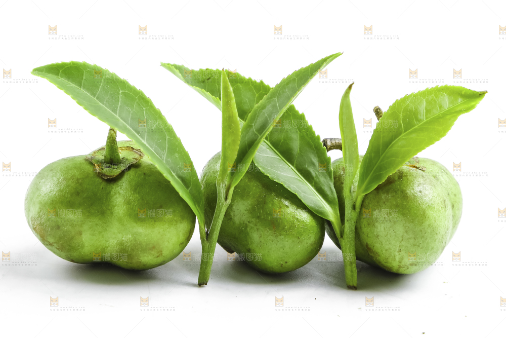 白底上摆放着茶叶子