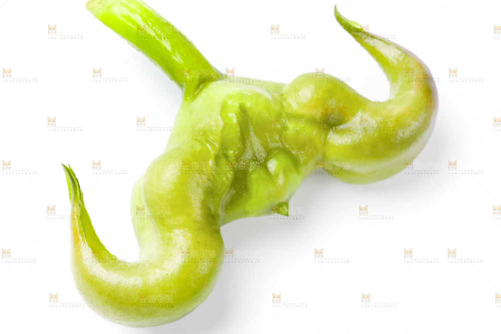 浅底上的新鲜菱角