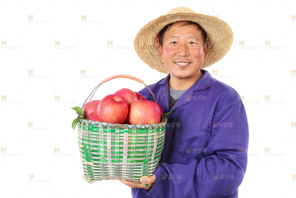 红富士苹果-人物