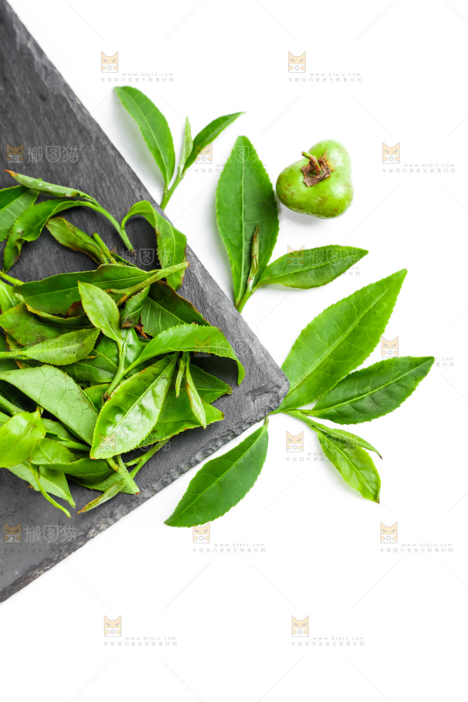 白底上放着绿茶叶
