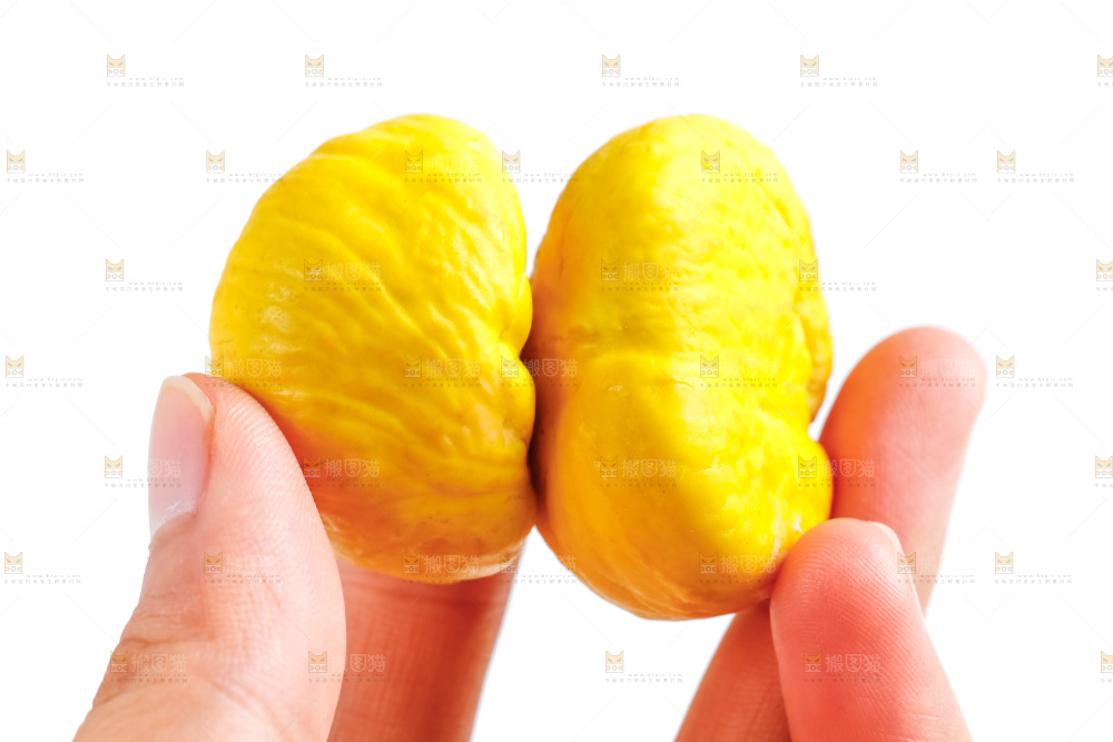 手里拿着新鲜板栗