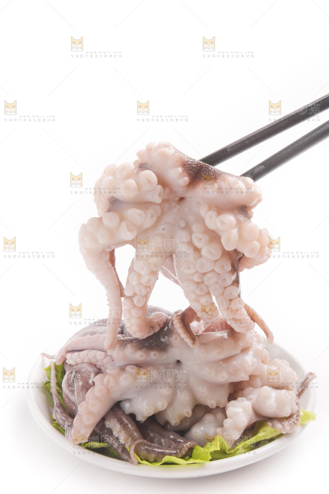 筷子上夹着八爪鱼