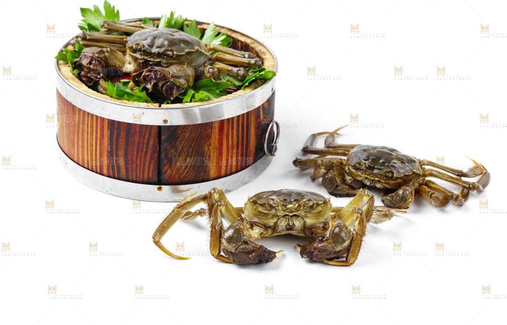 蒸笼里放着阳澄湖大闸蟹