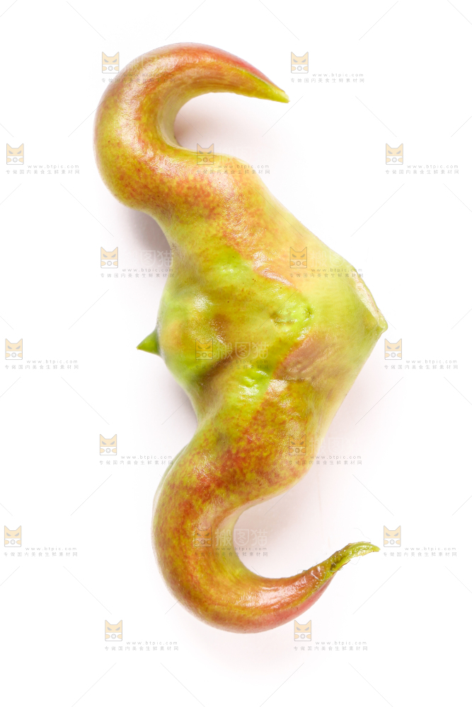 浅底上放着洪湖菱角