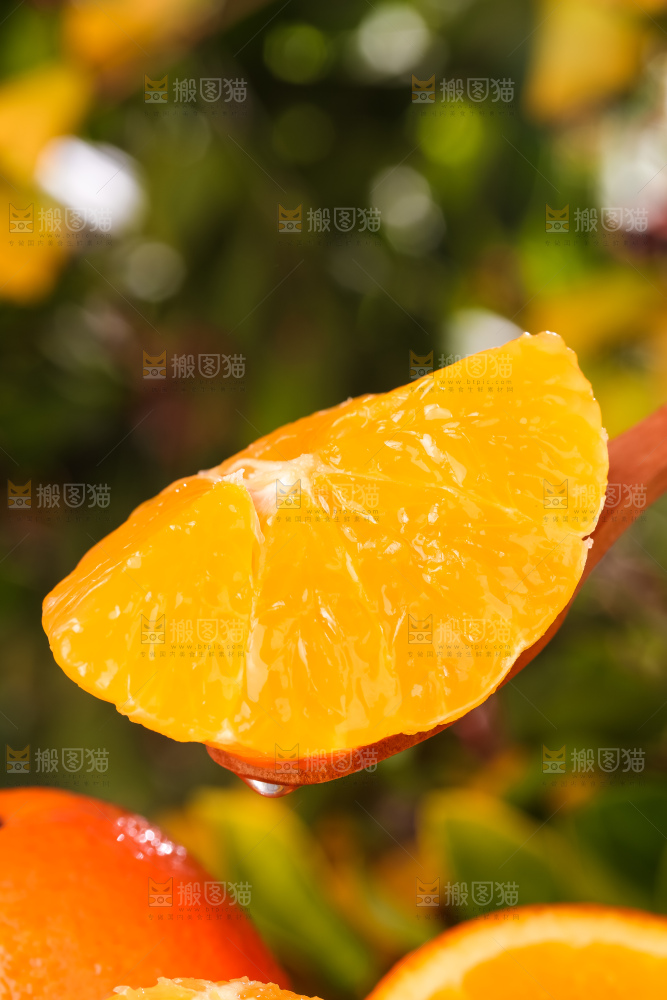 白格子上放着切开的脐橙