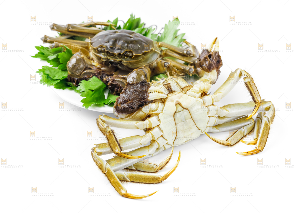 大闸蟹