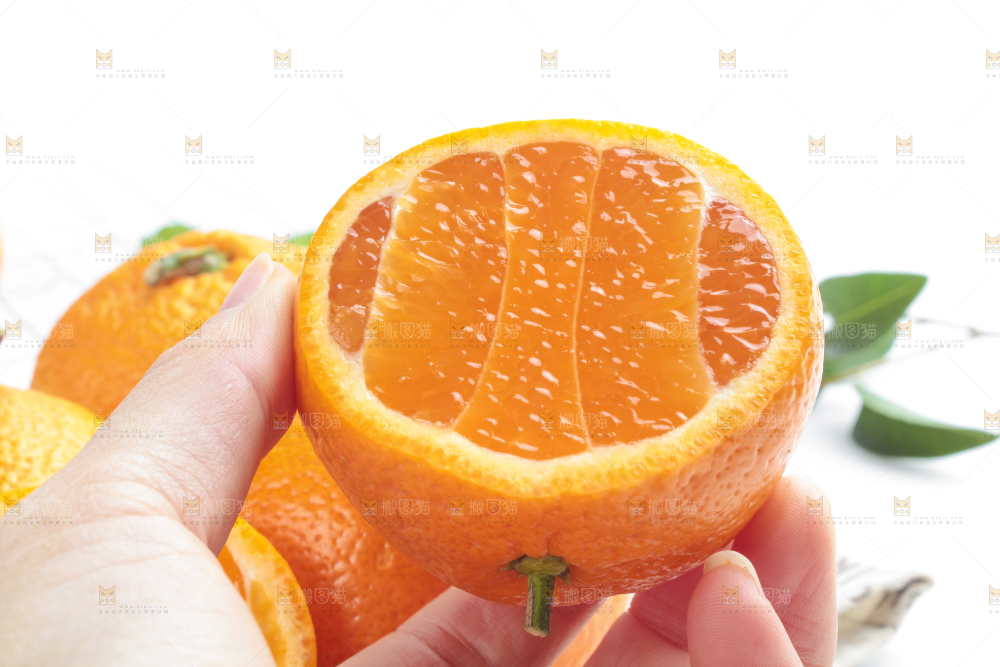 手里拿着新鲜椪柑